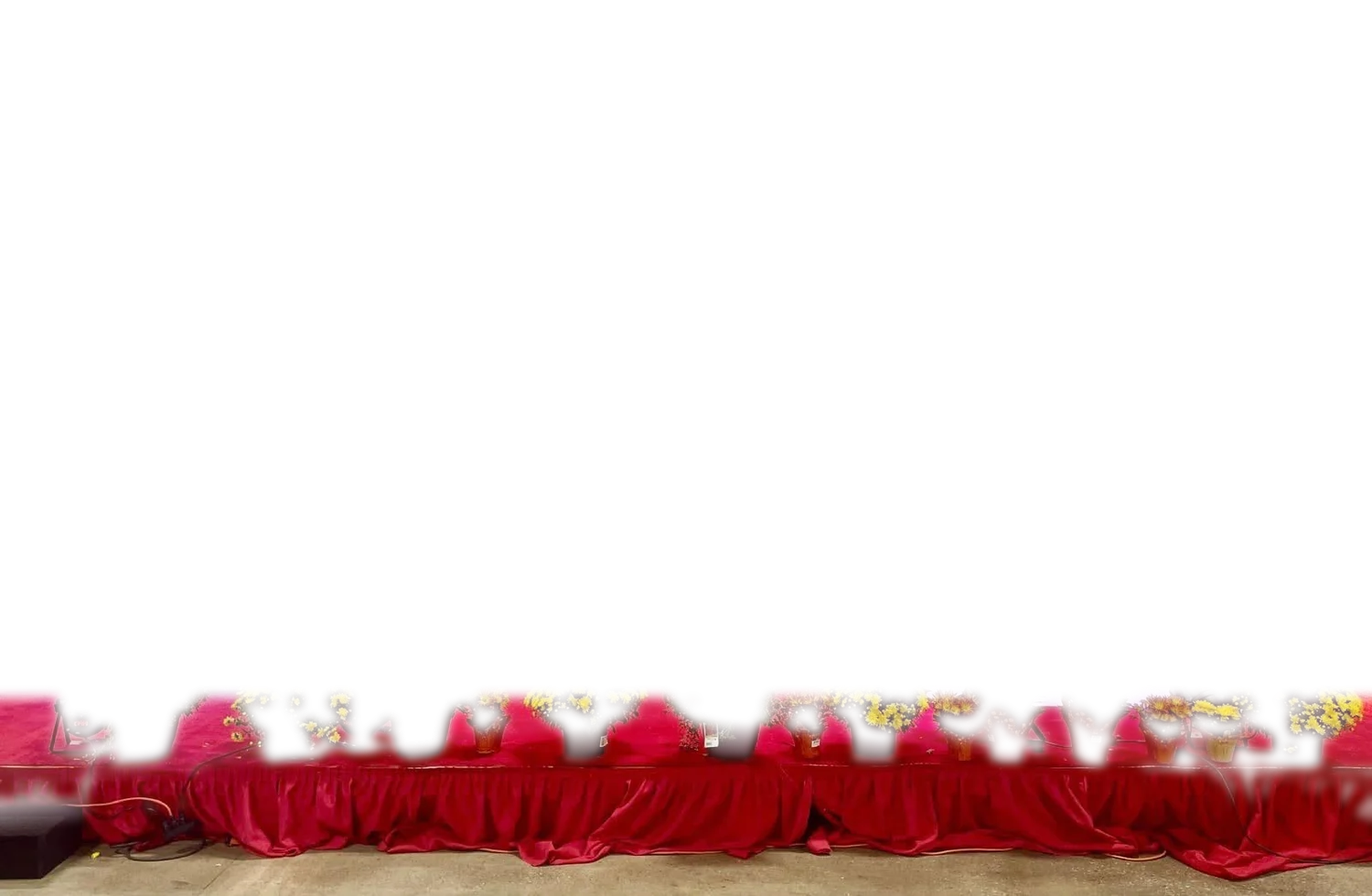 Durga Pujo celebration at Pragati